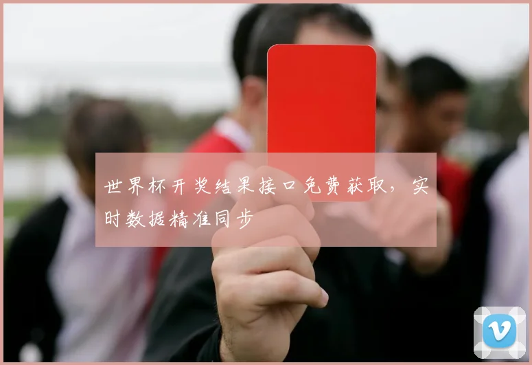 世界杯开奖结果接口免费获取，实时数据精准同步